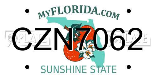 CZN7062 Florida License Plate
