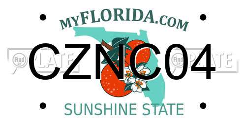 CZNC04 Florida License Plate