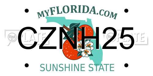 CZNH25 Florida License Plate