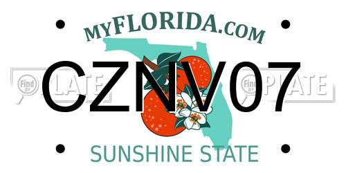 CZNV07 Florida License Plate