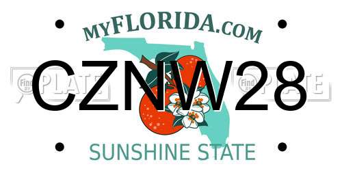 CZNW28 Florida License Plate