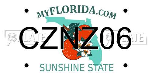 CZNZ06 Florida License Plate