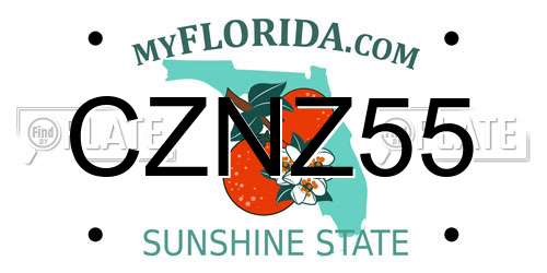 CZNZ55 Florida License Plate
