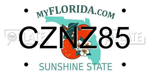 CZNZ85 Florida License Plate