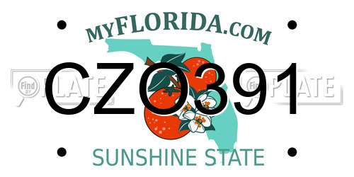 CZO391 Florida License Plate