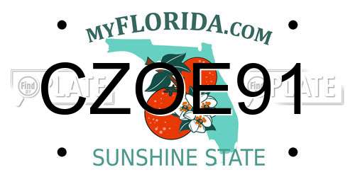 CZOE91 Florida License Plate