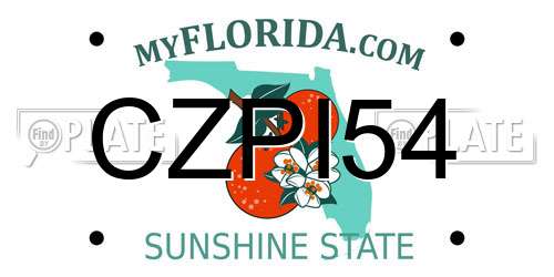 CZPI54 Florida License Plate