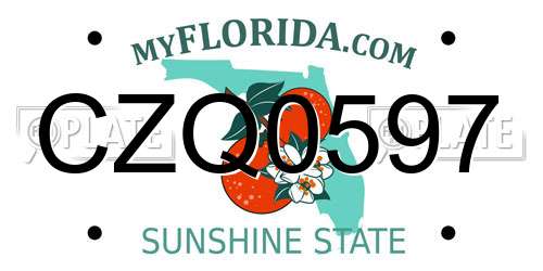 CZQ0597 Florida License Plate