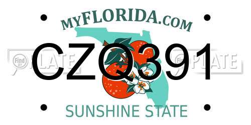 CZQ391 Florida License Plate