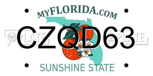 CZQD63 Florida License Plate