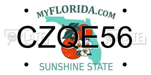 CZQE56 Florida License Plate