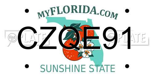 CZQE91 Florida License Plate