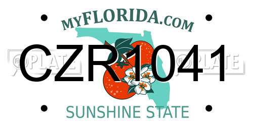 CZR1041 Florida License Plate