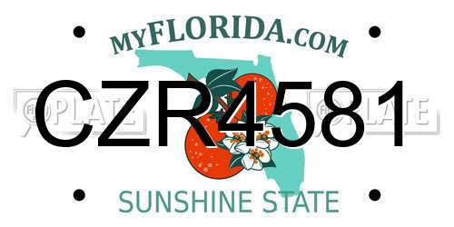 CZR4581 Florida License Plate