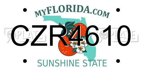CZR4610 Florida License Plate