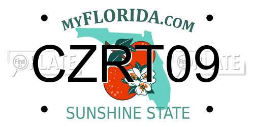 CZRT09 Florida License Plate