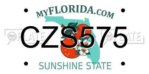 CZS575 Florida License Plate