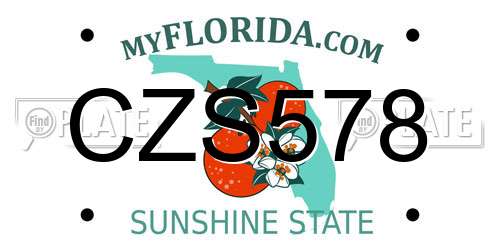 CZS578 Florida License Plate