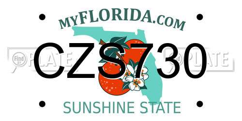 CZS730 Florida License Plate