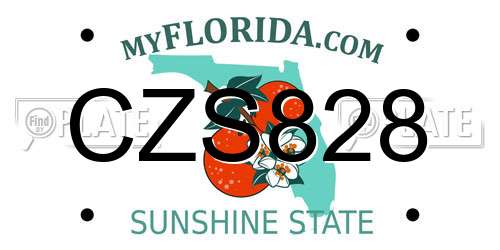 CZS828 Florida License Plate