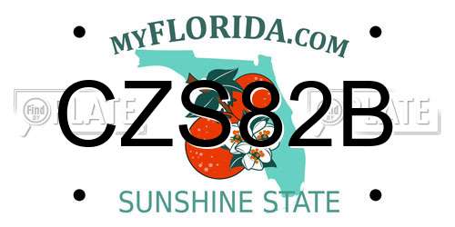 CZS82B Florida License Plate