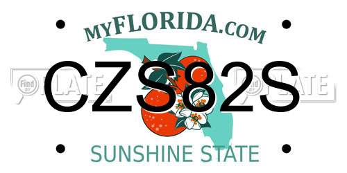 CZS82S Florida License Plate
