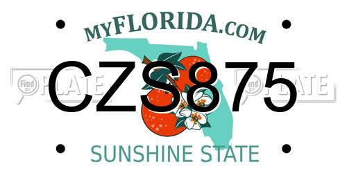 CZS875 Florida License Plate