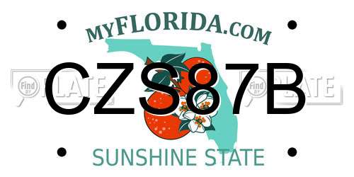 CZS87B Florida License Plate