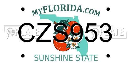 CZS953 Florida License Plate