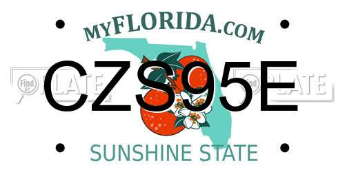 CZS95E Florida License Plate
