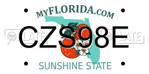 CZS98E Florida License Plate