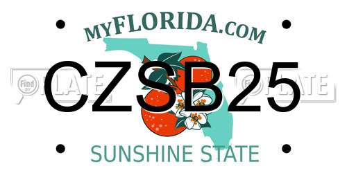 CZSB25 Florida License Plate