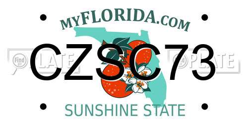 CZSC73 Florida License Plate