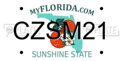 CZSM21 Florida License Plate
