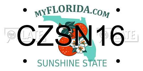 CZSN16 Florida License Plate