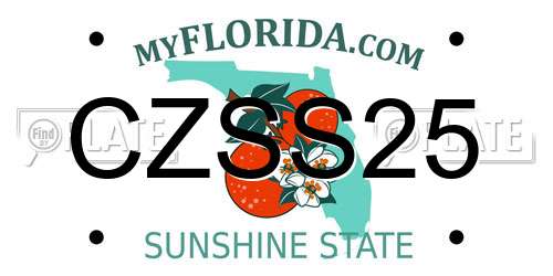 CZSS25 Florida License Plate
