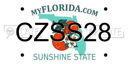 CZSS28 Florida License Plate