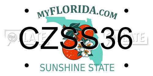 CZSS36 Florida License Plate