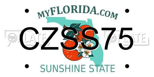 CZSS75 Florida License Plate