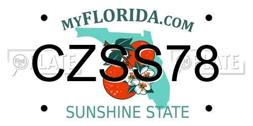CZSS78 Florida License Plate
