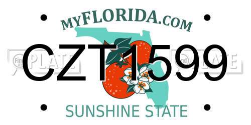 CZT1599 Florida License Plate