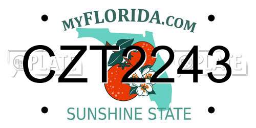 CZT2243 Florida License Plate