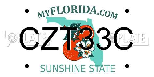 CZT33C Florida License Plate