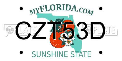 CZT53D Florida License Plate
