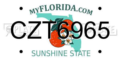CZT6965 Florida License Plate