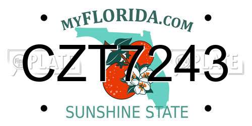 CZT7243 Florida License Plate