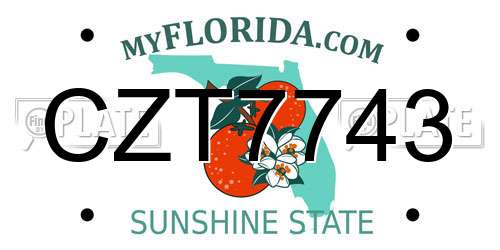 CZT7743 Florida License Plate