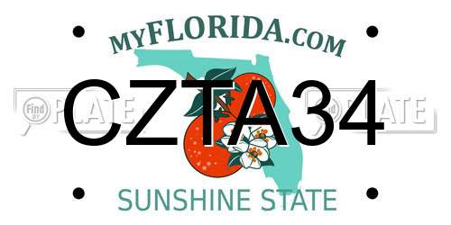 CZTA34 Florida License Plate