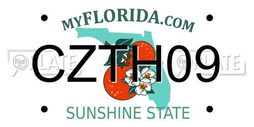 CZTH09 Florida License Plate