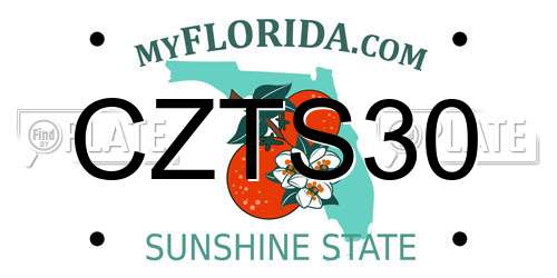 CZTS30 Florida License Plate